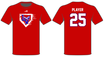 Lake Villa Eagles Custom HyperTee #HT1B
