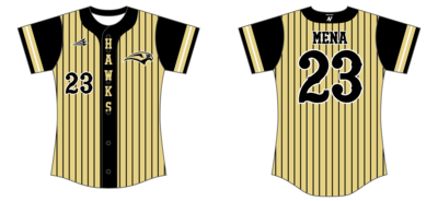 Arroyo Valley HS Custom Nanodri Softball Jersey #J1