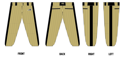 Arroyo Valley HS Custom Fastpitch Pant #FP1b
