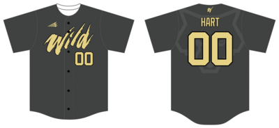WILD B.C. (Neshaminy) Custom HexaFlex Baseball Jersey #J10