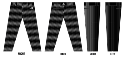 Iron Academy CUSTOM Relaxed Baseball Pant #BP2