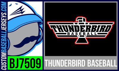 ThunderBird Baseball