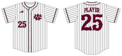 Central Wisconsin Impact Custom HexaFlex Baseball Jersey #J8B