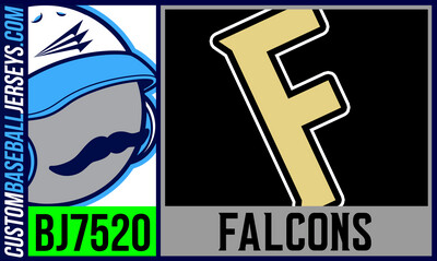 Falcons (Hendrickson)
