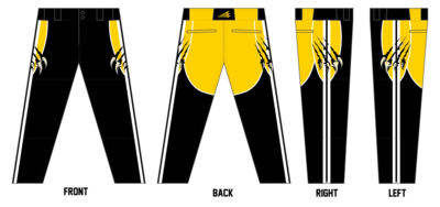 Thomas Jefferson Jaguars CUSTOM Relaxed Baseball Pant #BP5B