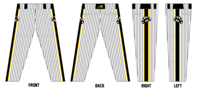 Thomas Jefferson Jaguars CUSTOM Relaxed Baseball Pant #BP4E