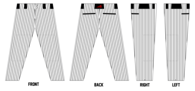 Team Heat Baseball Custom Pro-Fit Baseball Pants #BP1B