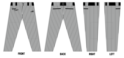 Brewer Baseball Custom Pro-Fit Baseball Pant #BP9B