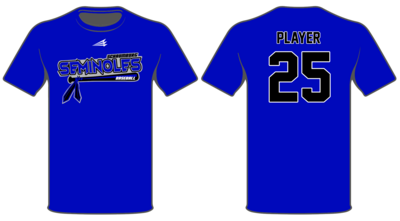 Schaumburg Seminoles Custom HyperTee #HT2