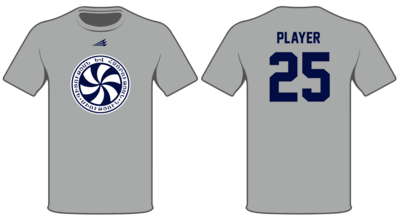 Alpha Epsilon Omega Custom HyperTee #HT1