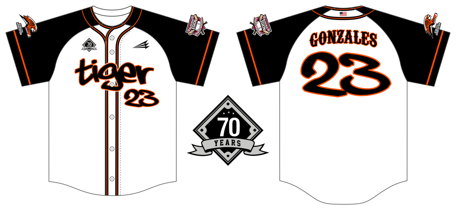 Aurora Legion Travel Custom NanoDri Baseball Jersey #J7C