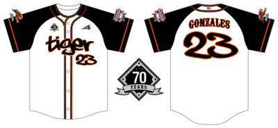 Aurora Legion Travel Custom NanoDri Baseball Jersey #J7C