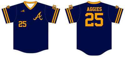 Charlotte Aggies Custom Hexaflex Baseball Jersey #J20