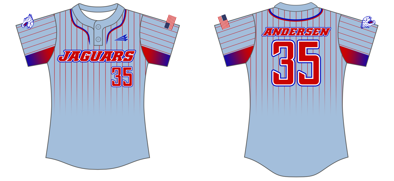 Jaguars (Andersen) Custom Nanodri Softball Jersey #J1B