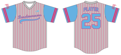 Benchwarmers Custom NanoDri Baseball Jersey #J4