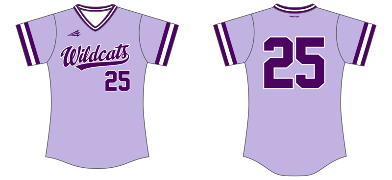 Wister Lady Wildcats Custom NanoDri Softball Jersey #J4