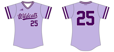 Wister Lady Wildcats Custom NanoDri Softball Jersey #J4