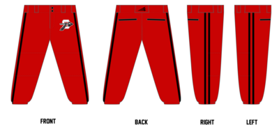 Sherwood High School Custom Fastpitch Pant #FP5b