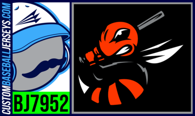 Springfield Stingers
