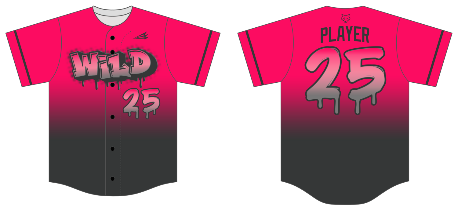 WILD B.C. (Neshaminy) Custom HexaFlex Baseball Jersey #J13C