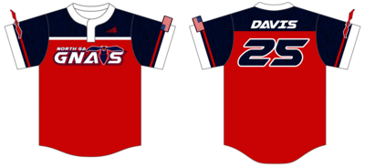 North GA Gnats Custom Nanodri Baseball Jersey #J1E