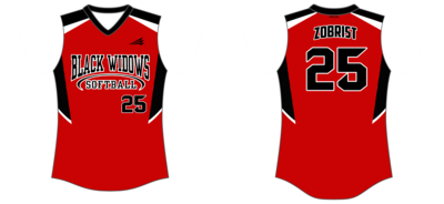 Black Widows Softball Custom NanoDri Softball Jersey #J15e