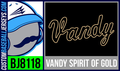 Vanderbilt Spirit of Gold Drumline