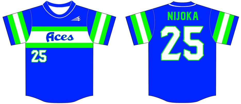 Louisiana Aces Custom Baseball Jersey #2c