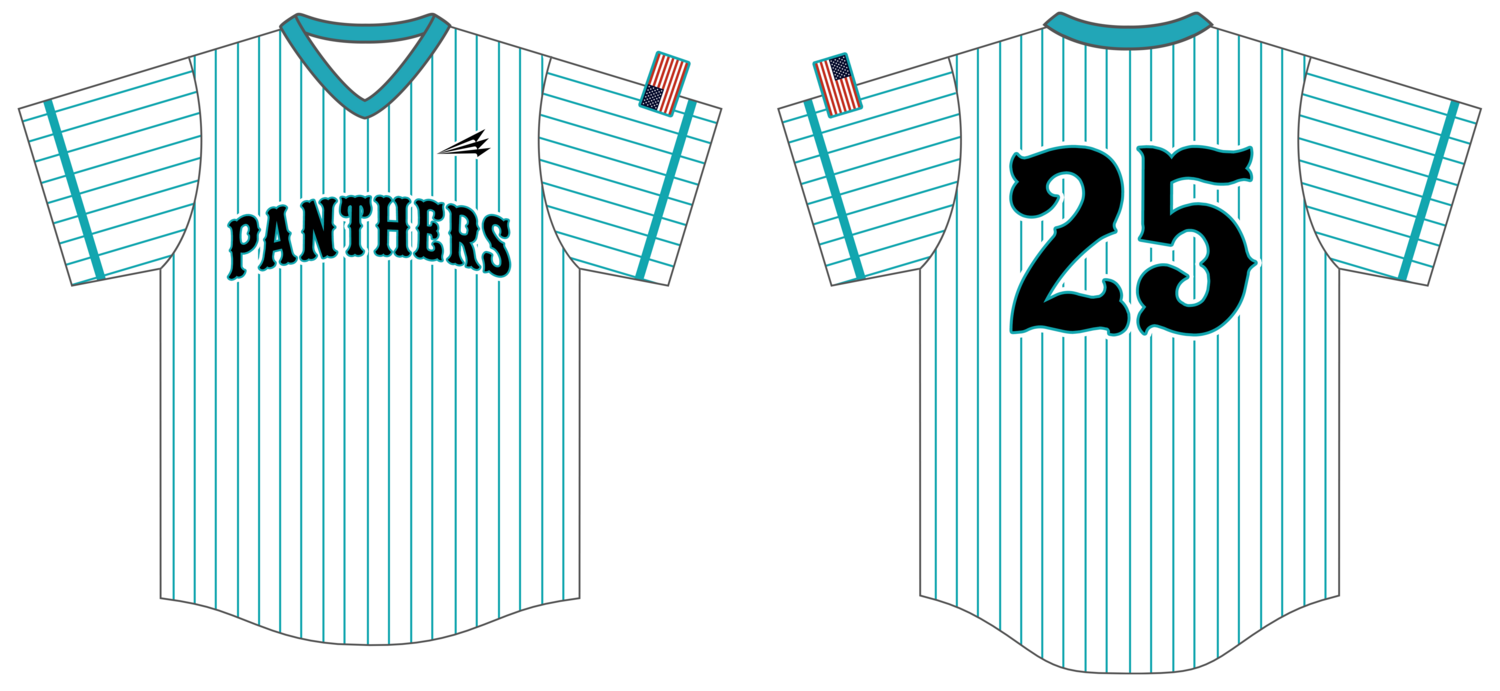 Bell Creek Academy Panthers Custom Pro Premier Baseball Jersey #J2B