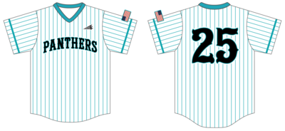 Bell Creek Academy Panthers Custom Pro Premier Baseball Jersey #J2B