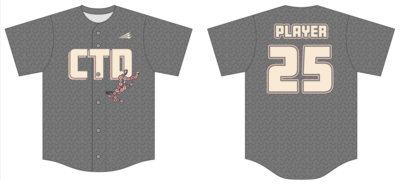 Chafing The Dream Custom HexaFlex Baseball Jersey #J1