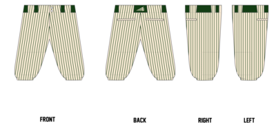 Richland County Raptors Custom Knicker Baseball Pant #BP9K