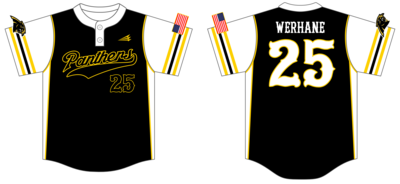 Lena Panthers Custom NanoDri Baseball Jersey #J2