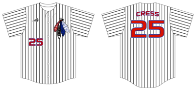 Kansas Blackhawks Custom NanoDri Baseball Jersey #J1d