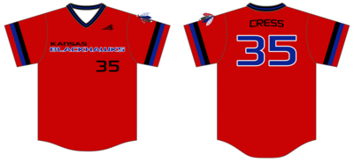 Kansas Blackhawks Custom NanoDri Baseball Jersey #J3g