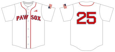 Chandler Paw Sox Custom NanoDri Baseball Jersey #J1c