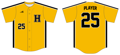 Hendersonville Rangers Custom NanoDri Baseball Jersey #J2