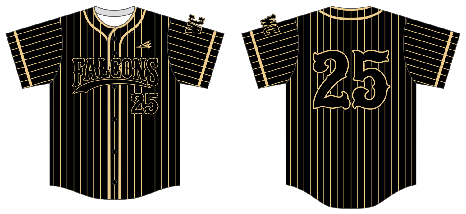 Falcons (Hendrickson) Custom NanoDri Baseball Jersey #J2