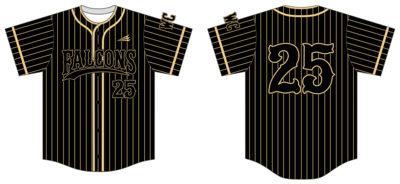 Falcons (Hendrickson) Custom NanoDri Baseball Jersey #J2
