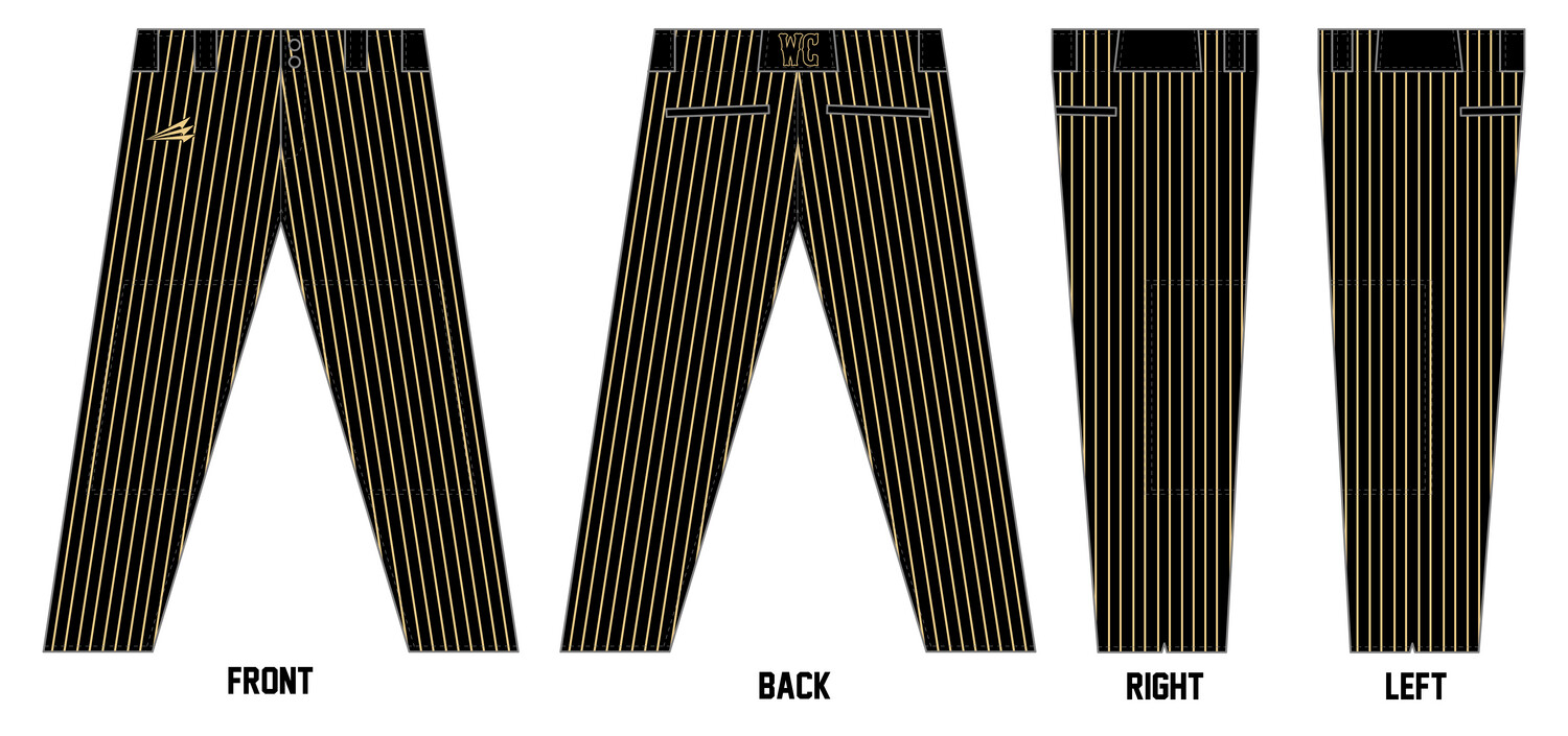 Falcons (Hendrickson) Custom Athletic Baseball Pant #BP4
