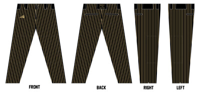 Falcons (Hendrickson) Custom Athletic Baseball Pant #BP4