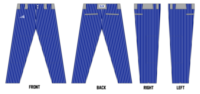Salina Spikes Custom ProFit Baseball Pant #BP7k