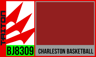 Charleston Basketball