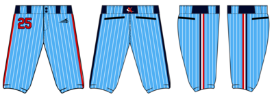 Team Xtreme Custom Knicker Baseball Pant #BP5b