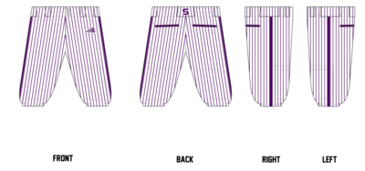 Surge (Sturdivant) Custom Knicker Baseball Pants #BP9B