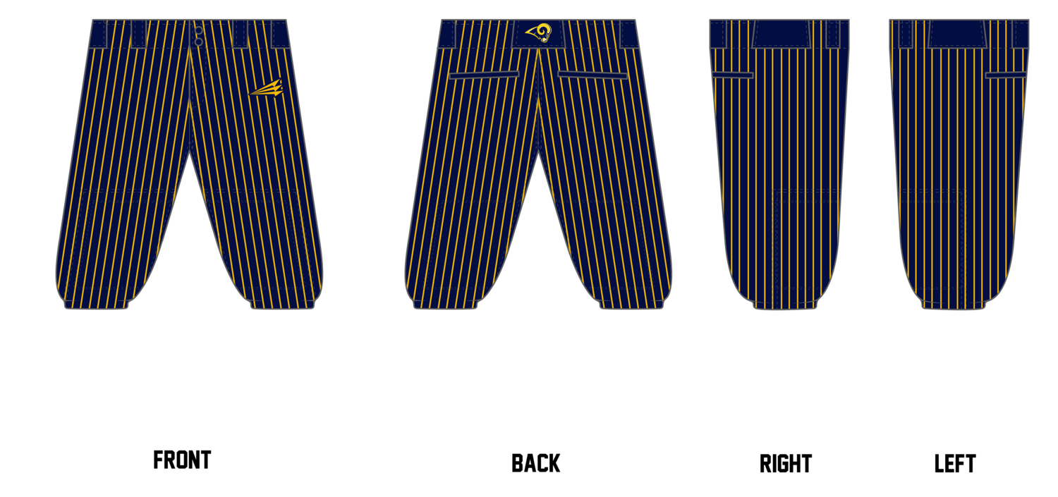 Pleasant Ridge High School Custom Knicker Baseball Pant #BP2
