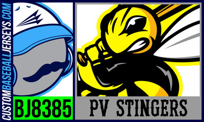 Pauls Valley Stingers
