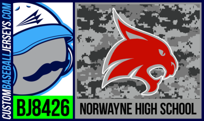 Norwayne High School