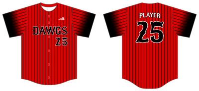Colorado Dirt Dawgs Custom NanoDri Baseball Jersey #J2B
