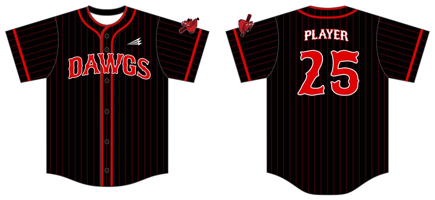Colorado Dirt Dawgs Custom NanoDri Baseball Jersey #J1B